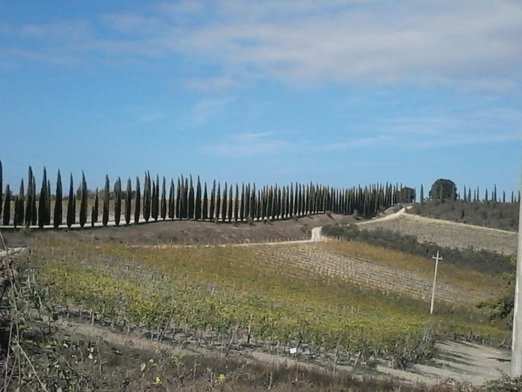 Cisterna Nel Borgo Hotel Castiglione dʼOrcia Eksteriør billede
